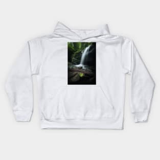 Waterfall and fern in forest Kids Hoodie